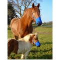 The Ultimate Horse Grazing / Laminitis Muzzle